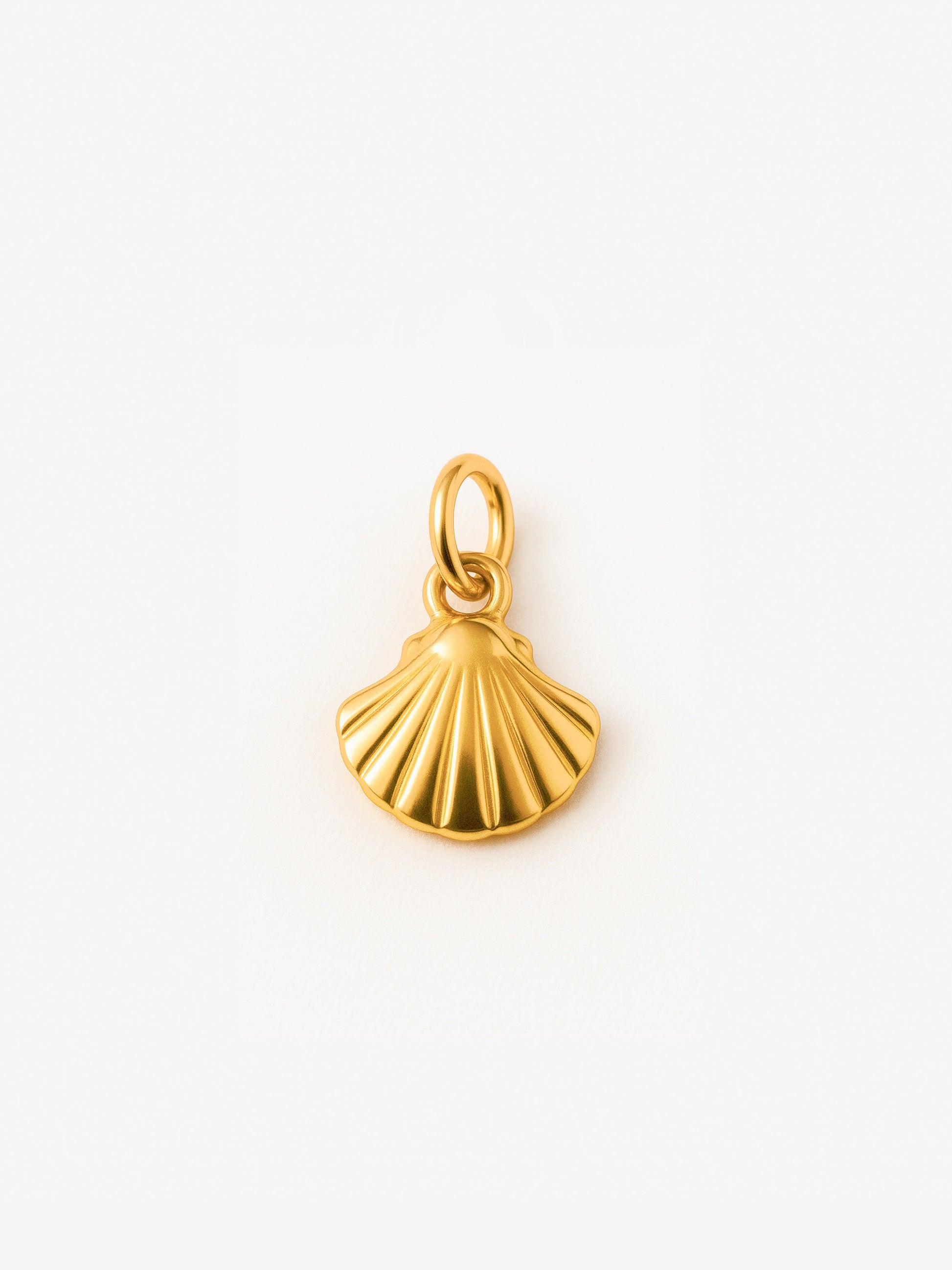 Clam Shell Charm (Tiny)